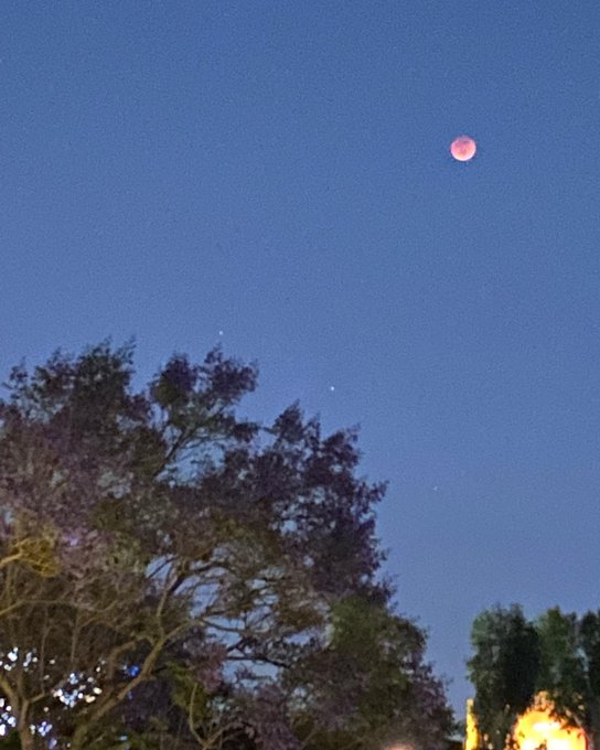 Blood red Super Full moon in scorpio, you can even see the stars of scorpio down just above the trees<a href="/tag/gayporn"class="tags"><span>#gayporn</span></a>