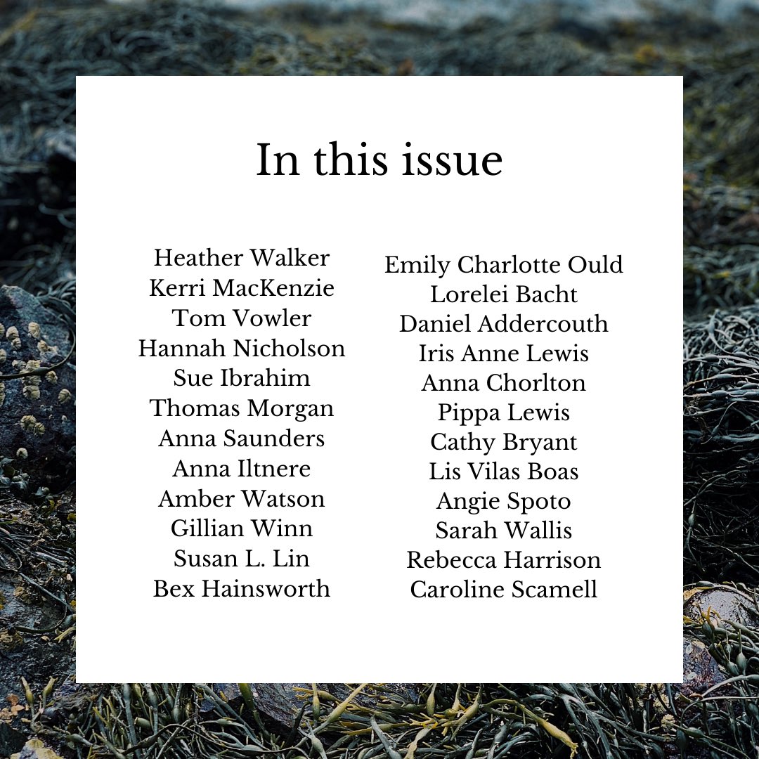 We love receiving submissions from around the world, seeing how different people connect to/get inspired by the sea. 🌊

We also love it when someone from our local #cornish community submits to us. There are a few Cornish voices in issue 3!

Full list of contributors: