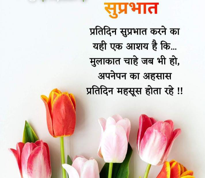 Sheetalra76's tweet photo. @narendramodi @SherBDeuba https://t.co/skCOICmkLK