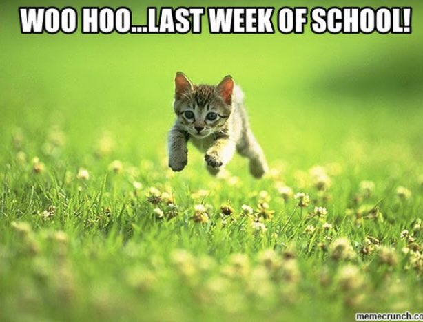 PTOHighlandPark's tweet photo. @HP_Pandas https://t.co/Gwlxc8rNrM