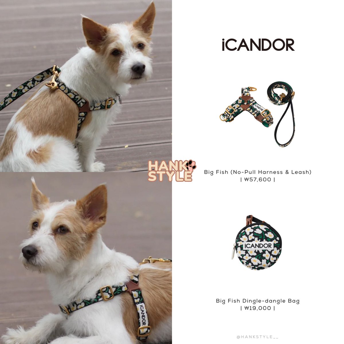 HankStyle__'s tweet photo. NEW HANK PICTURES (2205?)

Brand: iCANDOR 
Product: Big Fish (Harness &amp; Leash)
Price: ₩57,600

Brand: iCANDOR 
Product: Big Fish Dingle-dangle Bag
Price: ₩19,000

#ROSÉ #로제 #HANK #행꾸 #Style #BLACKPINK #블랙핑크 @BLACKPINK https://t.co/2EBtLNGTeO