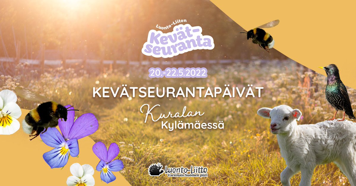 llvasp's tweet photo. Tulevana viikonloppuna seurataan kevättä Kuralan Kylämäessä!

Voit kiertää Kevättuulen polku -rastirataa, täyttää Kevätseuranta-bingoa ja osallistua arvontaan.

Lue lisää: https://t.co/w8yQGnIg96

#turku #kevätseuranta https://t.co/uzs52ihX2s