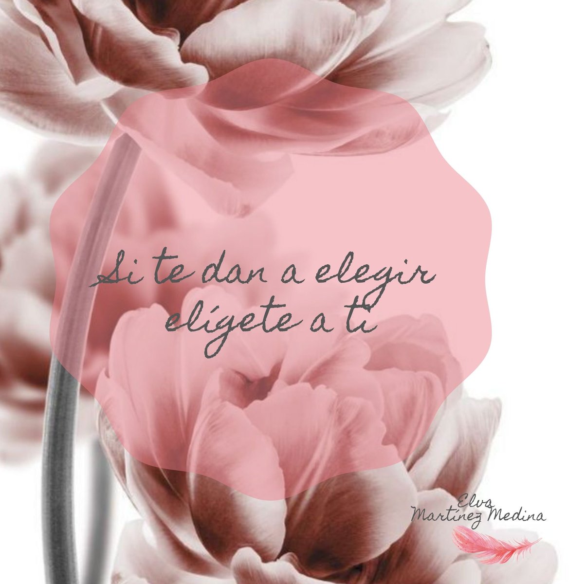 elvamarmed's tweet photo. ¡Feliz inicio de semana! «Si te dan a elegir elige a ti». https://t.co/nSOQgbHiSu