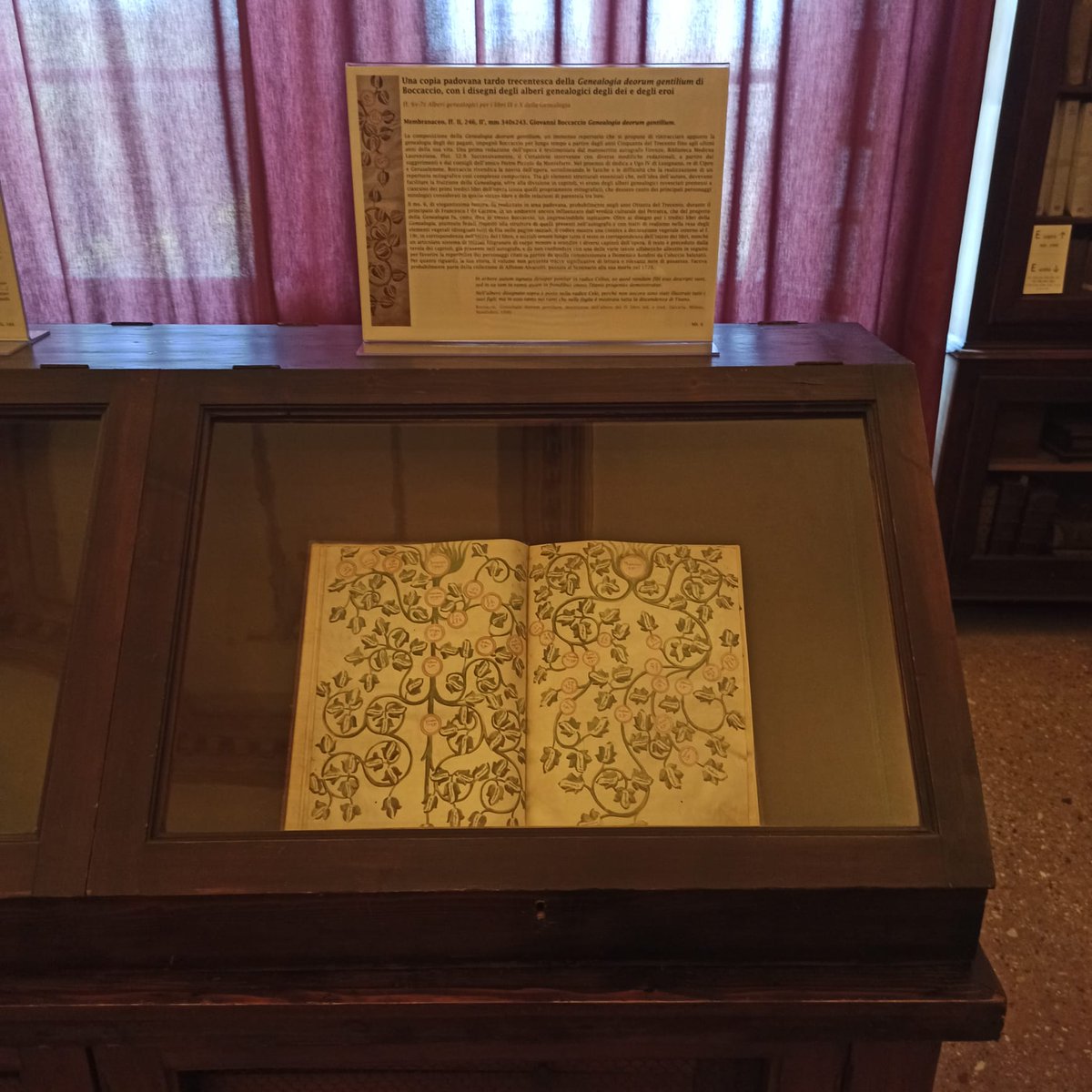 LauraBanella's tweet photo. Oggi a Padova iniziano le settimane dedicate a Boccaccio! Alle 11:30 al Centro San Gaetano la lezione di Maurizio Fiorilla "Boccaccio e i libri" e alle 16:00 inaugurazione della mostra "Boccaccio a Padova" alla Biblioteca del Seminario. boccaccio2022.mostra@unipd.it @boccaccious https://t.co/yVEDvxjn4F