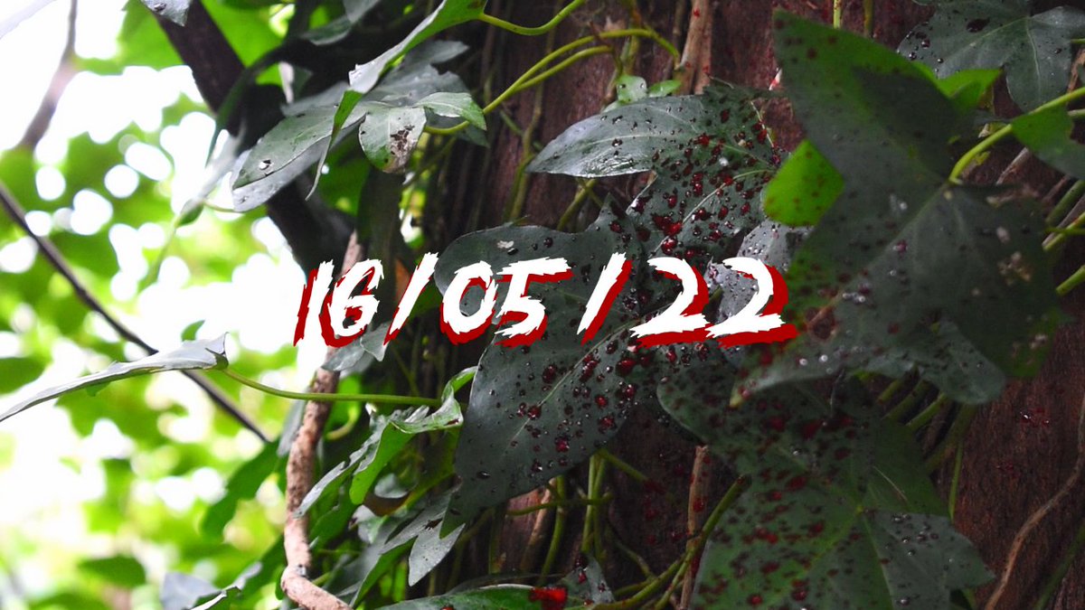 James O'Brien tweet media