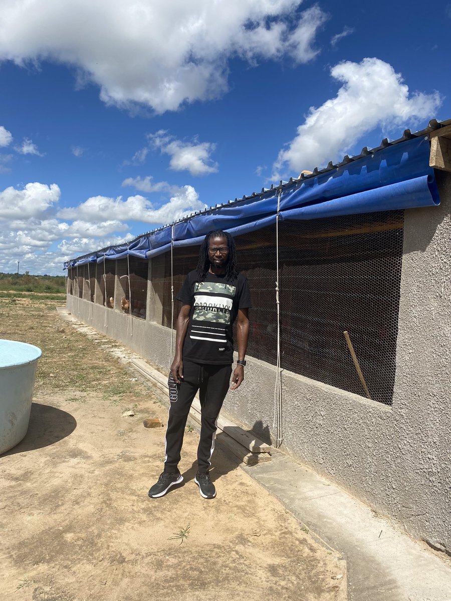 tinochiremba's tweet photo. Zimbabwe needs rigorous and creative thinking. When you’re at your village use what you’ve to create ventures that will bring some funds into your pocket. I’ve learnt from @daddyhope goat venture and @terrymap1 poultry project. Here’s a sneak peek of my projects in Chihota https://t.co/ceSJBXhhUO