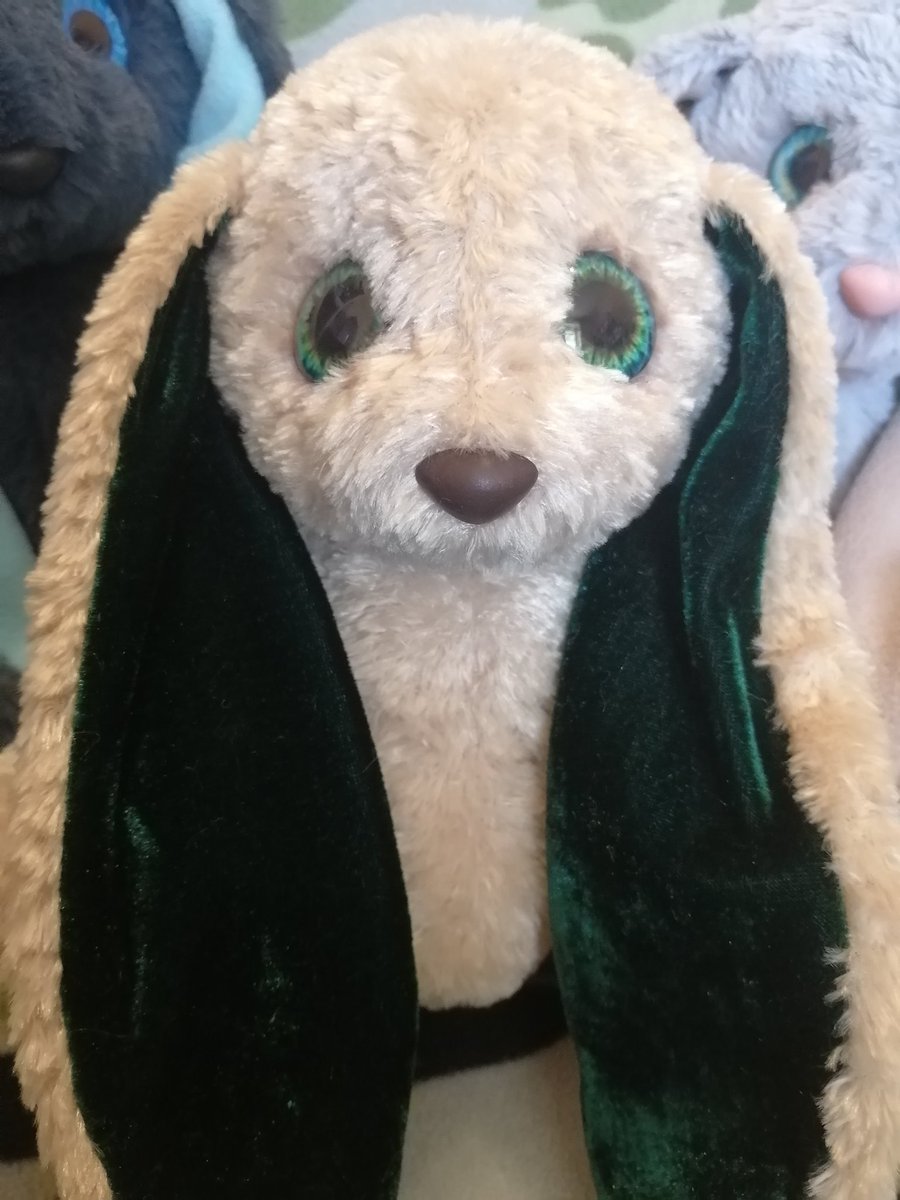 Юлия Рябова tweet media