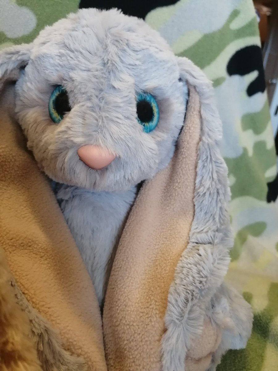 Юлия Рябова tweet media