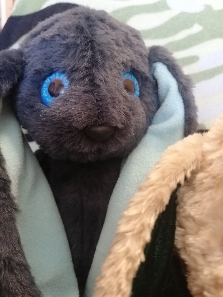 Юлия Рябова tweet media