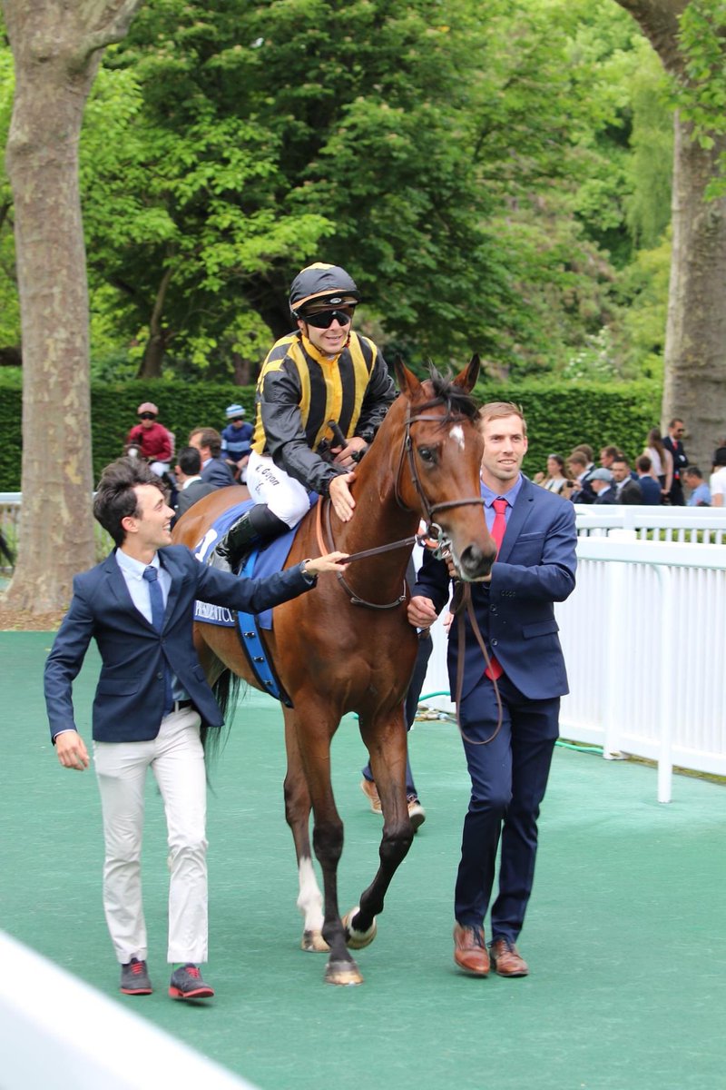 ASM_Bloodstock's tweet photo. Two nice pictures of TIMES SQUARE who offered us a very close 3rd place in the Gr.1 French 1000 Guineas @paris_longchamp yesterday ✨
@teamchferland https://t.co/bPow4Kwsye