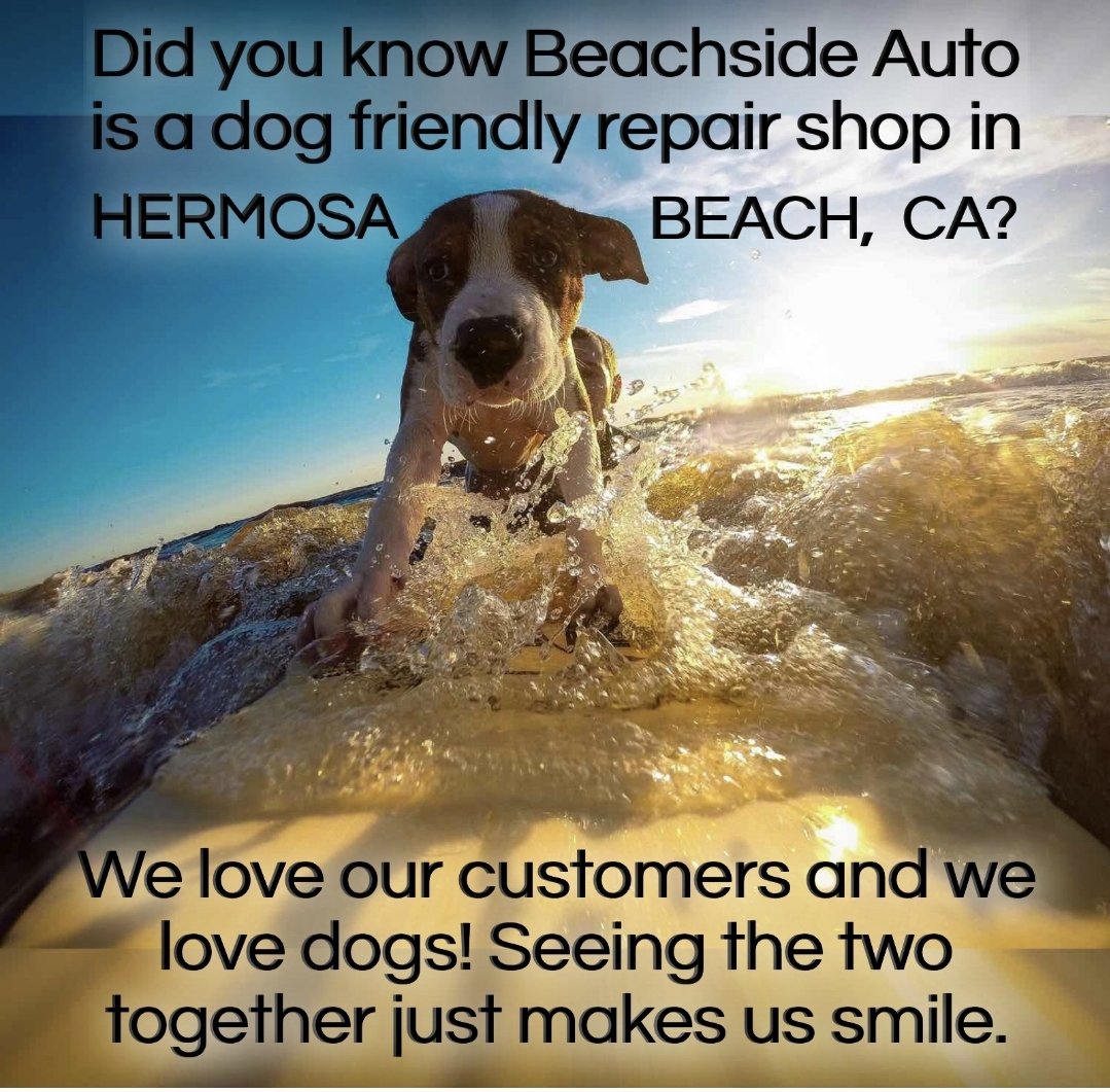 beachside_hb's tweet photo. If you are out driving with your dog and need to have your car looked at, come on by Beachside Auto & say hi with your pooch! We have a great dog walking path right down the street!
.
.
.
#automechanic
#autorepair
#autorepairnearme
#bronsonthebeachsideautodog https://t.co/Z6cMXeK7uR
