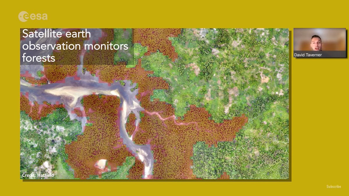 spaceforearth's tweet photo. How are space technologies being applied to address our greatest global challenges, like #ClimateChange, #deforestation and #DisasterResilience?
Find out 'Why space? Why now? What's next?' in this #SpaceBites talk by @caribou_space's @djtaverner 👉 https://t.co/pSLHYtd5Op https://t.co/MPFg1ICnCw