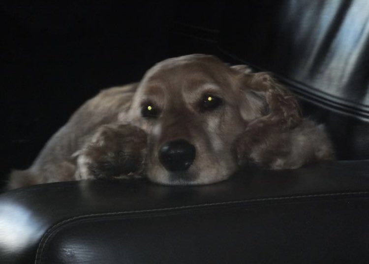 Eileen OS tweet media