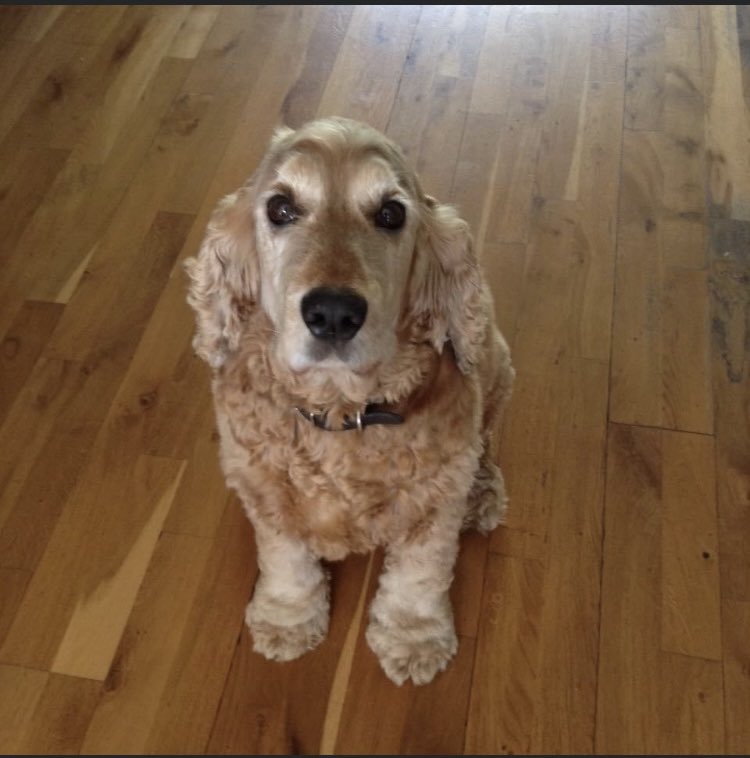 Eileen OS tweet media