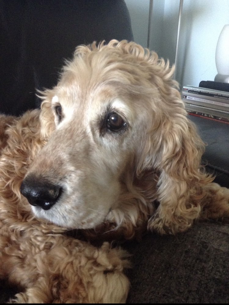 Eileen OS tweet media