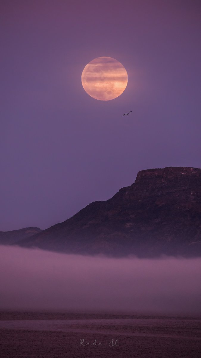 Rada_SC's tweet photo. Anoche tuvimos un espectacular Eclipse Lunar y una salida de la Luna de ensueño con todo y neblina! Lo capté desde los cerros de la Marina de San Carlos, Sonora. https://t.co/vGQxKeDuV8