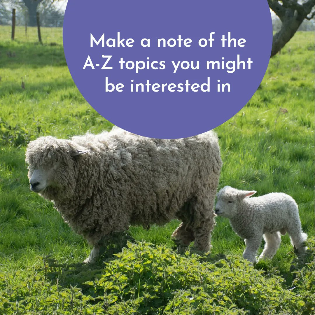 Have you added the letters of the RHET Great Big A-Z Food and Farming story you are interested in to your diary? 📅 ✏️

We have worksheets, Thinglinks, videos and a whole lot more for you to engage with throughout June.

Find out more on our blog: rhet.org.uk/blog/