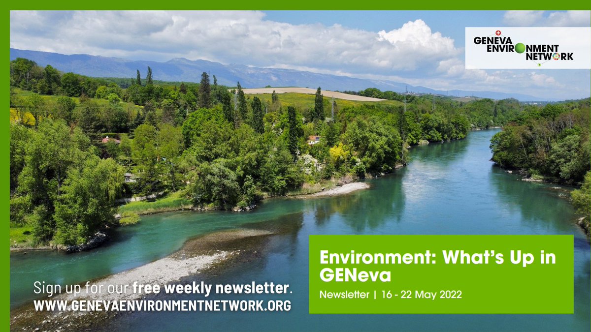 GENetwork's tweet photo. #Environment: What's Up in #GENeva from 16-22 May?
✅ #EnergyTransition &amp; #FossilFuel Subsidies
✅ #GENeva #BlueTalks
✅ #OEWG to End #PlasticPollution
✅ @WTO #FishWeek
✅ #WorldBeeDay &amp; #BiodiversityDay
✅ &amp; more

Check events, #jobs &amp; suggestions ▶️
https://t.co/3ZBfkiWQpf https://t.co/JR7PmetzZ0