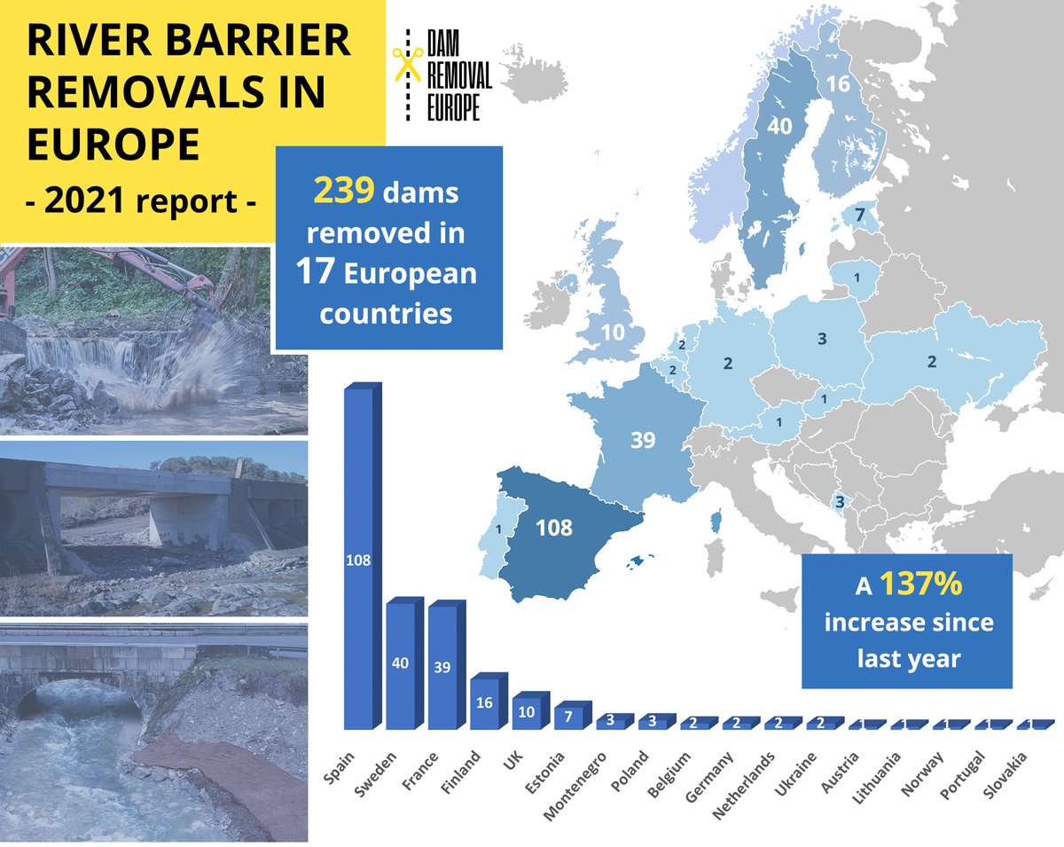 DAM-BREAKING NEWS 💥‼️

239 barriers removed from the rivers of 17 countries! 2021 it’s the year with the highest number of barrier removals in #Europe. An increase of 137% compared to the previous year!

Download the REPORT damremoval.eu/report-2021/

#breakingnews #damremoval