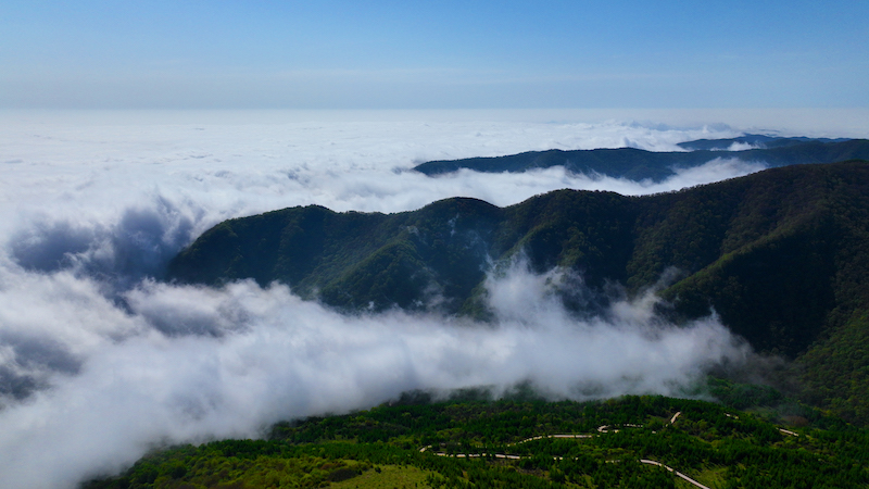 ExploreGansu's tweet photo. 📣🤗Attention: a paradise awaits!
☁️⛰️Marvelous cloud sea rushes down mountains in Lianhuatai Scenic Area of #Pingliang, #Gansu province, churning up white waves along its way.
🎨🖌️A beautiful theme for a painted scroll.
#CharmingGansu #GansuView #EarlySummerinGansu https://t.co/icRAf7yreY