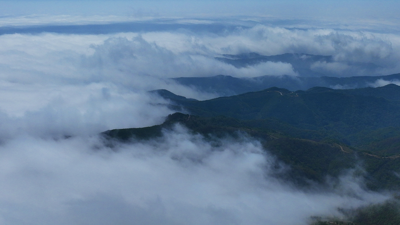 ExploreGansu's tweet photo. 📣🤗Attention: a paradise awaits!
☁️⛰️Marvelous cloud sea rushes down mountains in Lianhuatai Scenic Area of #Pingliang, #Gansu province, churning up white waves along its way.
🎨🖌️A beautiful theme for a painted scroll.
#CharmingGansu #GansuView #EarlySummerinGansu https://t.co/icRAf7yreY