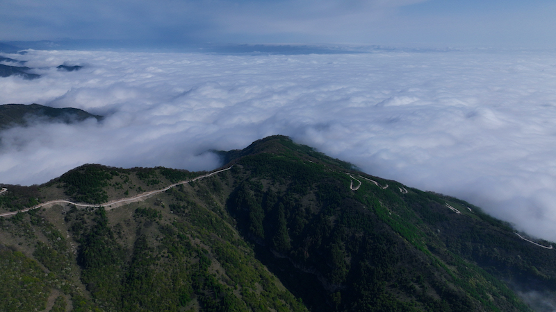 ExploreGansu's tweet photo. 📣🤗Attention: a paradise awaits!
☁️⛰️Marvelous cloud sea rushes down mountains in Lianhuatai Scenic Area of #Pingliang, #Gansu province, churning up white waves along its way.
🎨🖌️A beautiful theme for a painted scroll.
#CharmingGansu #GansuView #EarlySummerinGansu https://t.co/icRAf7yreY