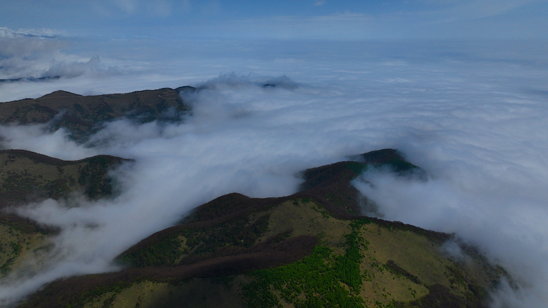 ExploreGansu's tweet photo. 📣🤗Attention: a paradise awaits!
☁️⛰️Marvelous cloud sea rushes down mountains in Lianhuatai Scenic Area of #Pingliang, #Gansu province, churning up white waves along its way.
🎨🖌️A beautiful theme for a painted scroll.
#CharmingGansu #GansuView #EarlySummerinGansu https://t.co/icRAf7yreY