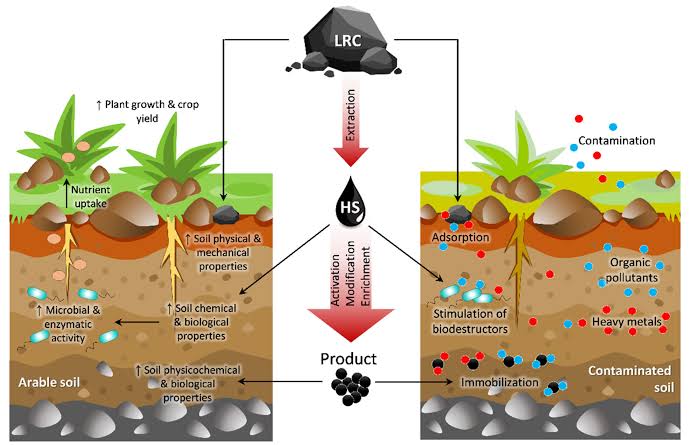 Ishanam2's tweet photo. SOIL MICROBIOLOGY &amp; HEALTH--- we needs to learn how to restore the SOILS &amp; the Earth . By using microorganisms we unlock the fertilizers in the SOIL #savesoil #UNCCDCOP15 @cpsavesoil @SadhguruJV @UNCCD https://t.co/eNQpHJEmoM