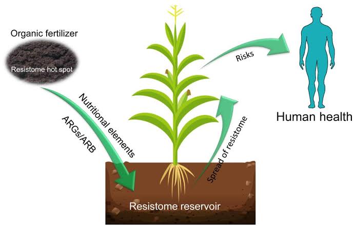 Ishanam2's tweet photo. SOIL MICROBIOLOGY &amp; HEALTH--- we needs to learn how to restore the SOILS &amp; the Earth . By using microorganisms we unlock the fertilizers in the SOIL #savesoil #UNCCDCOP15 @cpsavesoil @SadhguruJV @UNCCD https://t.co/eNQpHJEmoM