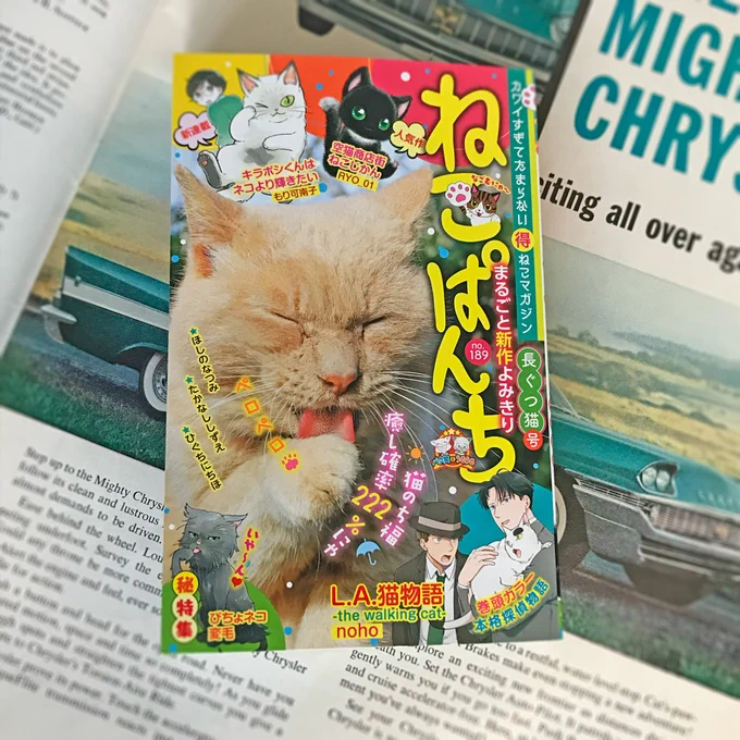 【おしらせ】本日、5月16日(月)発売の「ねこぱんち 長ぐつ猫号」にて、26ページの読み切り漫画『猫と探偵(前編)』が掲載されています。巻頭カラー+表紙にちょこっといます…!どうぞよろしくおねがいします。 