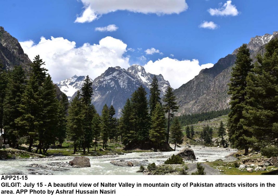 photography_786's tweet photo. #BeautifulPakistan 😍
A scenic view of Satrangi lake, Blue lake and Black lake in Nalter valley in the catchment’s area of Pakistan.🏞❤
#pakistan #GilgitBaltistan #satrangilake #tourism #photography #travel #naltervalley @ansukhera @appcsocialmedia @NazeeaJabeen @RubaShera_IG https://t.co/N988qfMiWe