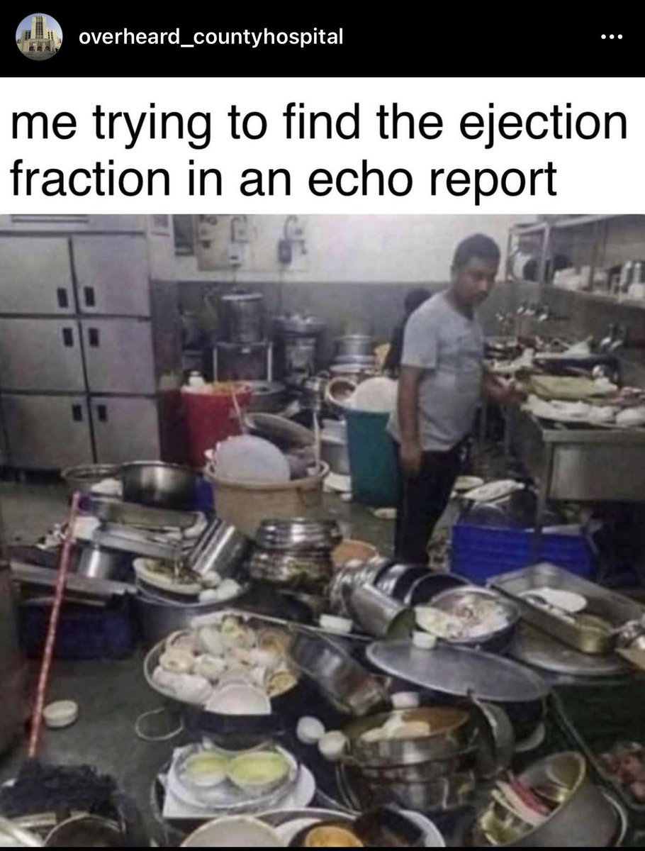 purviparwani's tweet photo. Yup. In between the Chamber size, thickness, diastolic grading, wall motions, valves, regurgitation, stenosis, filling pressures, where is the EF? 😂 😂 
You see how hard we work in #CVImaging 
#MedTwitter #CardioTwitter #echofirst #POCUS 
@mirvatalasnag @HeartOTXHeartMD https://t.co/WRwARh7C38