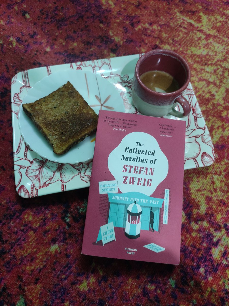 sunherisufi's tweet photo. Thank you @PushkinPress for allowing me to discover #StefanZewig https://t.co/CdwXqpGTt8