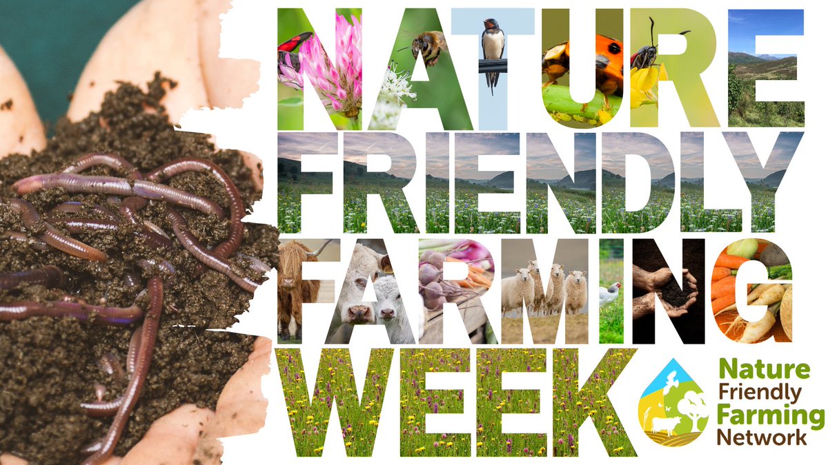 NFFNUK's tweet photo. #NatureFriendlyFarmingWeek is here 🧑‍🌾🌱🐮

And we're kicking it off by asking:

📣 Why nature-friendly farming?  
📣 What does nature-friendly farming look like on your farm? 

👇👇👇👇 https://t.co/ceMOIR2mOU