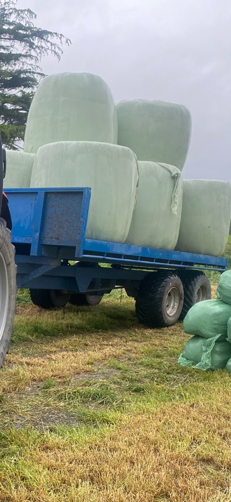 Weeredbarn's tweet photo. Large bales for sale $95 each (130 to sell if you buy in truck and trailer loads approximately 44 bales $85 each bale) https://t.co/YqzpqFPd92