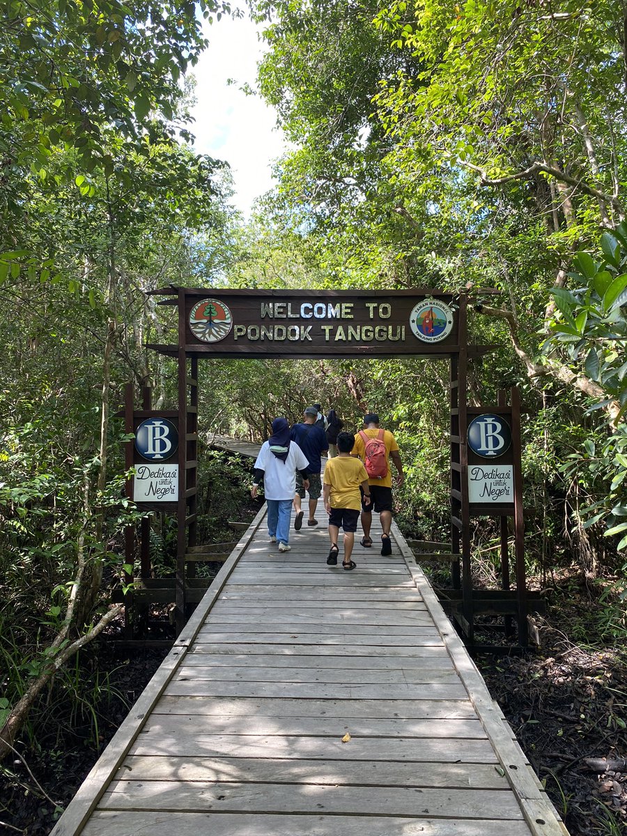 cembahasa's tweet photo. オランウータン��間近で見に、カリマンタン島へ。木造船で国立公園を巡り、夜はジャングルのど真ん中で船内に宿泊。綺麗な星空や大自然に巡り合えるツアーでした。
#TanjungPuting https://t.co/nKZyEY21le