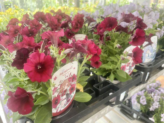 大阪府八尾市のtwitterイラスト検索結果