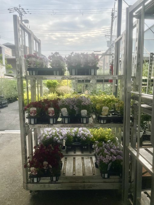 大阪府八尾市のtwitterイラスト検索結果