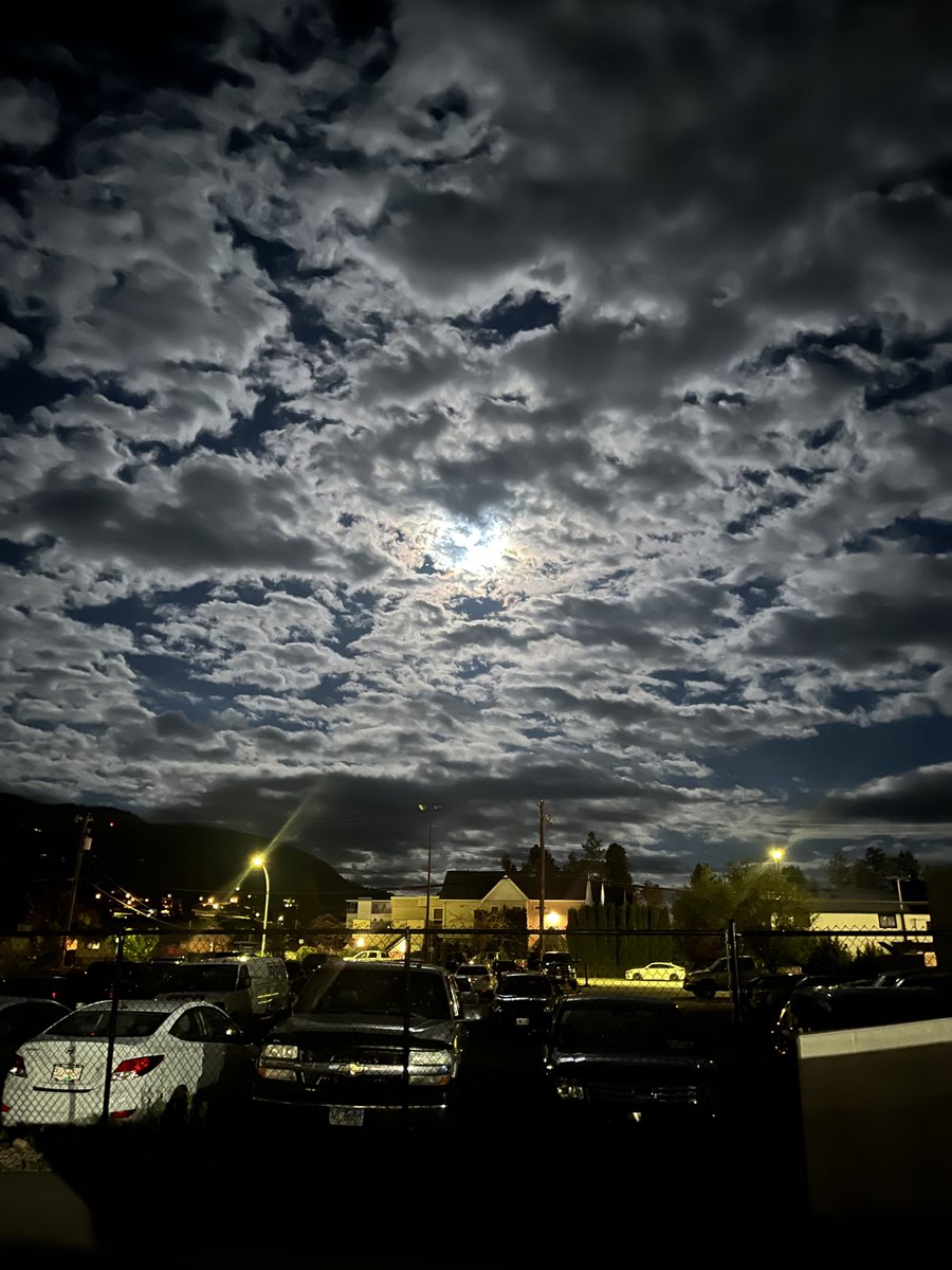 evilbunnee13's tweet photo. Complete ‘cloud out’ tonight 😞 happy that I was able to snap this the night before! No blood moon for me but an almost full moon with clouds was more than enough 💫 🚀 🌵 #FullMoon #Alchemy #EVACo https://t.co/TbVauT5x8j