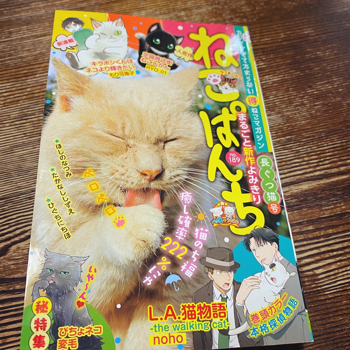 ねこぱんち本日発売です。
「じっちゃんと猫の住む街」は、ぴゃ〜な赤ちゃん猫が。
よろしくお願いいたします。 