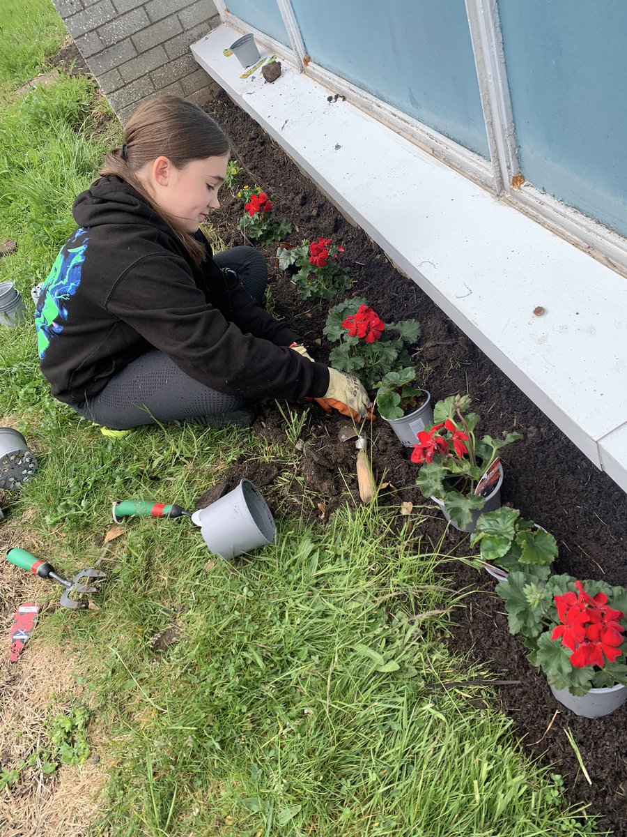 MacClare4's tweet photo. @KirkhillPS Well done to everyone helping in the school garden over the weekend, it looks amazing! K went shopping for plants as she had an idea of planting the school house colours along the front of the building, it looks fab! 🔴🔵🟡🟢 #kpsgardening #proudkps https://t.co/3aUjgjBtvT