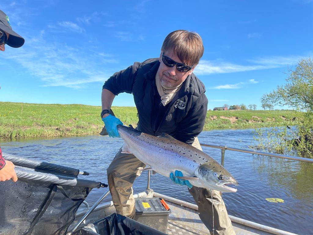 Olle Calles tweet media