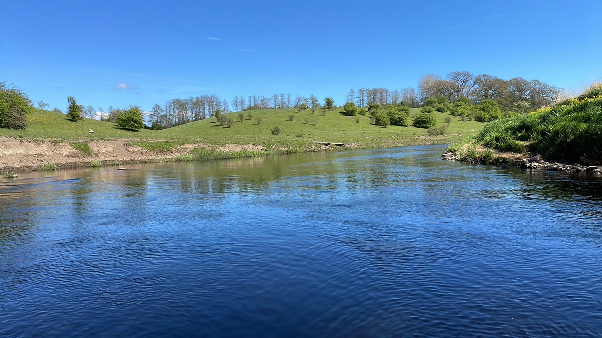 Long sunny days on river #Rönne_å with <a href="/SamShry/">Sam Shry</a>, <a href="/Nick13376/">Nick1337</a> and #Naturentreprenad_Syd tagging salmon for <a href="/life_connects/">LIFE CONNECTS</a>. 48 out of 50 tagged. <a href="/RivEM_Karlstad/">RivEM KarlstadUni</a> #salmon #dam_removal #telemetry