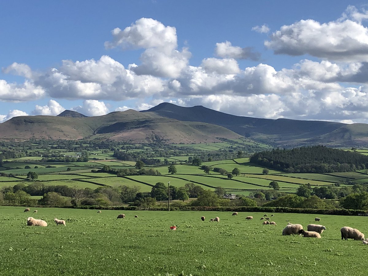 theacornhut's tweet photo. We have last minute availability in May & June!#airbnbhost #escapetothecountry #getaway #chill #visithayfestival #lastminute #glamping #visitbrecon #sleeps2 #countrysidebreak https://t.co/iyKJ73sWSs