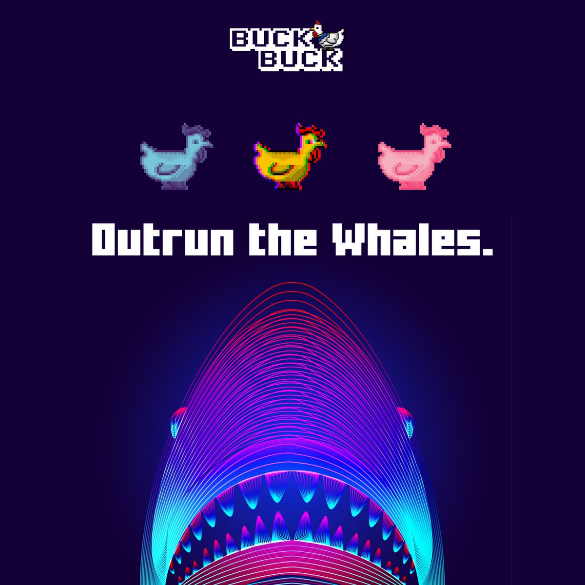 Hammy Buck tweet media