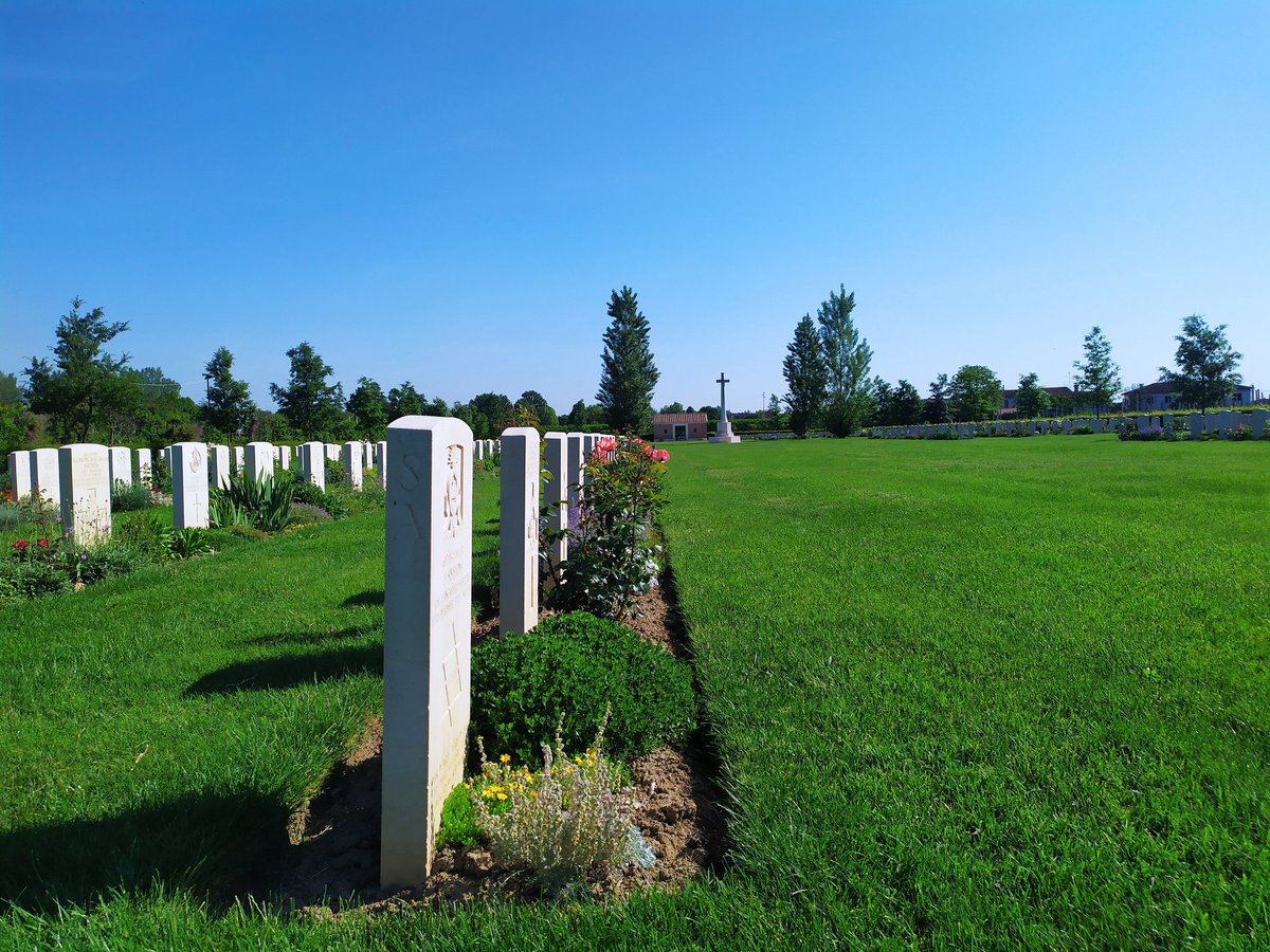 Nord_albert's tweet photo. Plucked oriental poppy in full Bloom at Faenza war cemetery @CWGC https://t.co/nSe6galPCo