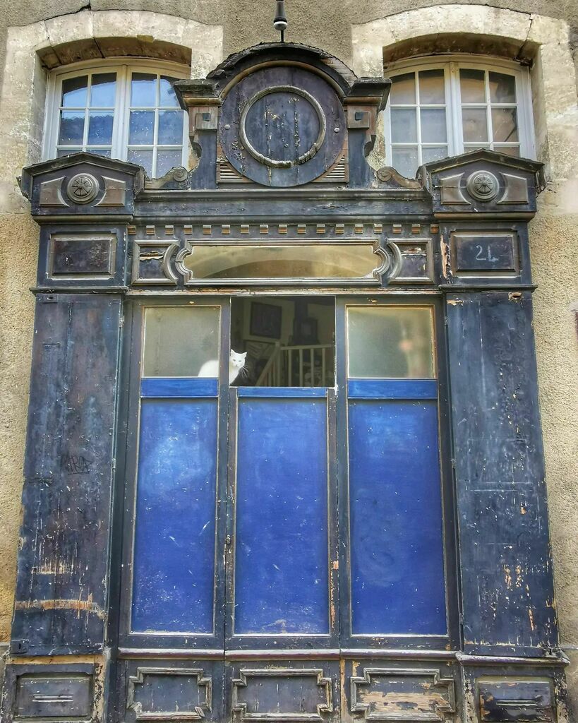 nadasto's tweet photo. Dans les ruelles...Bonjour
.
.
#street #catstagram #porte #façade #balade #blue #charmant #catlife #catlover #architecturephotography #auch #Gers #streetphotography #door #onmyway #hellocat #catsofinstagram https://t.co/BuRteFzGYN https://t.co/8dpUkzGViE