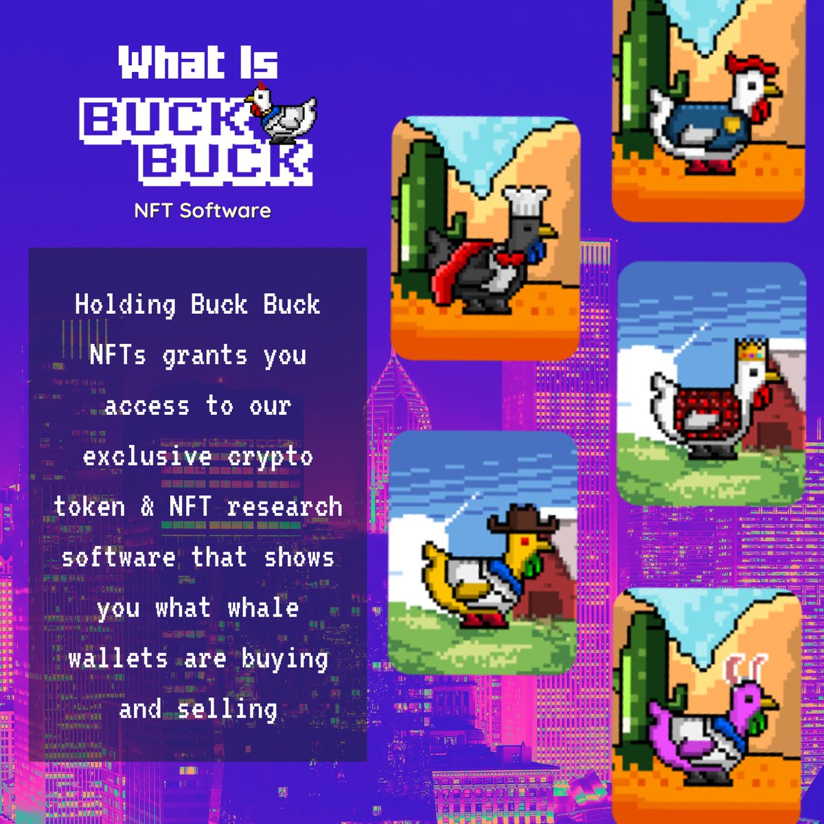 Hammy Buck tweet media