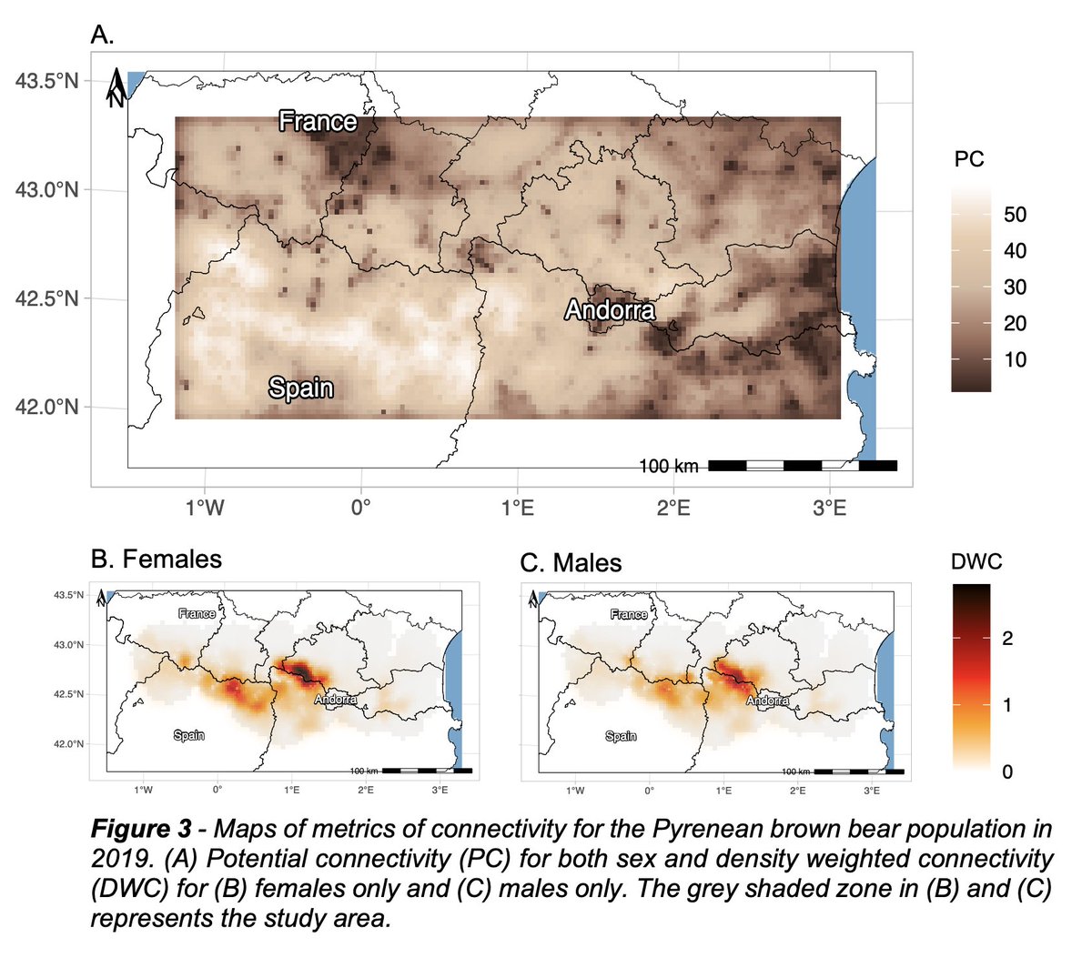📢🥳 First PhD paper submitted by <a href="/MaelisKervellec/">Maëlis Kervellec</a> showing that roads impede connectivity in Pyrenean brown 🐻 🇫🇷🇪🇸🇦🇩 w/ spatial capture-recapture models &amp; ecological distance in <a href="/oSCR_package/">oSCR</a> w/ @Milleret_Cyril <a href="/OFBiodiversite/">Office français de la biodiversité</a> @INEE_CNRS <a href="/umontpellier/">Université de Montpellier</a> 
biorxiv.org/content/10.110…