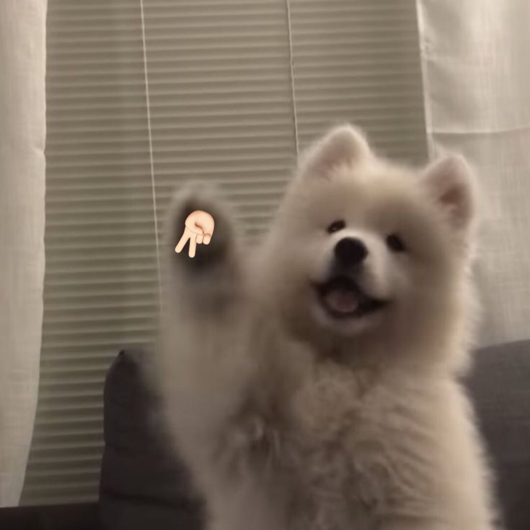 takemybear's tweet photo. โน่ก็ทำได้ https://t.co/OBEWiisfjF